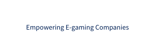 MORI & PARTNERS Empowering E-gaming Companies